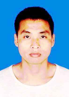 ������Ƭ